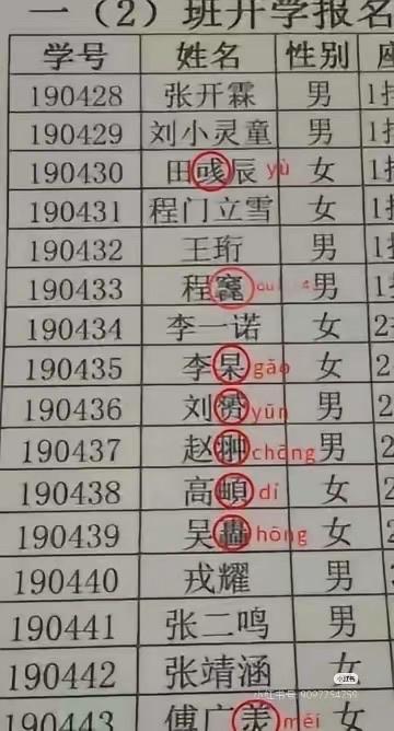 孩子的名字不是“秀场”不是“故弄玄虚”

一张开学名册，
八成名字带生僻字、典故