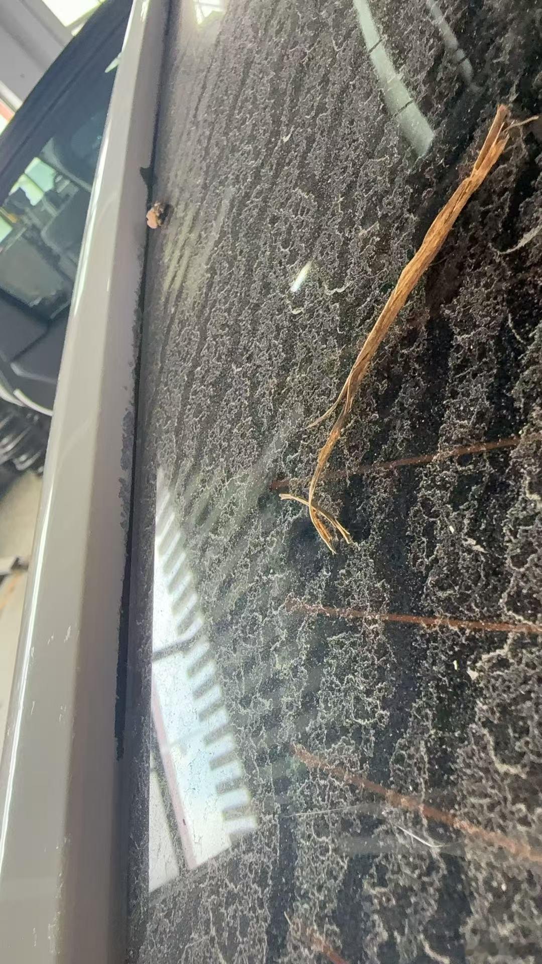 车主投诉【雪佛兰迈锐宝XL车身多处爆漆要求厂家免费解决】车主陈先生向汽车门网投诉