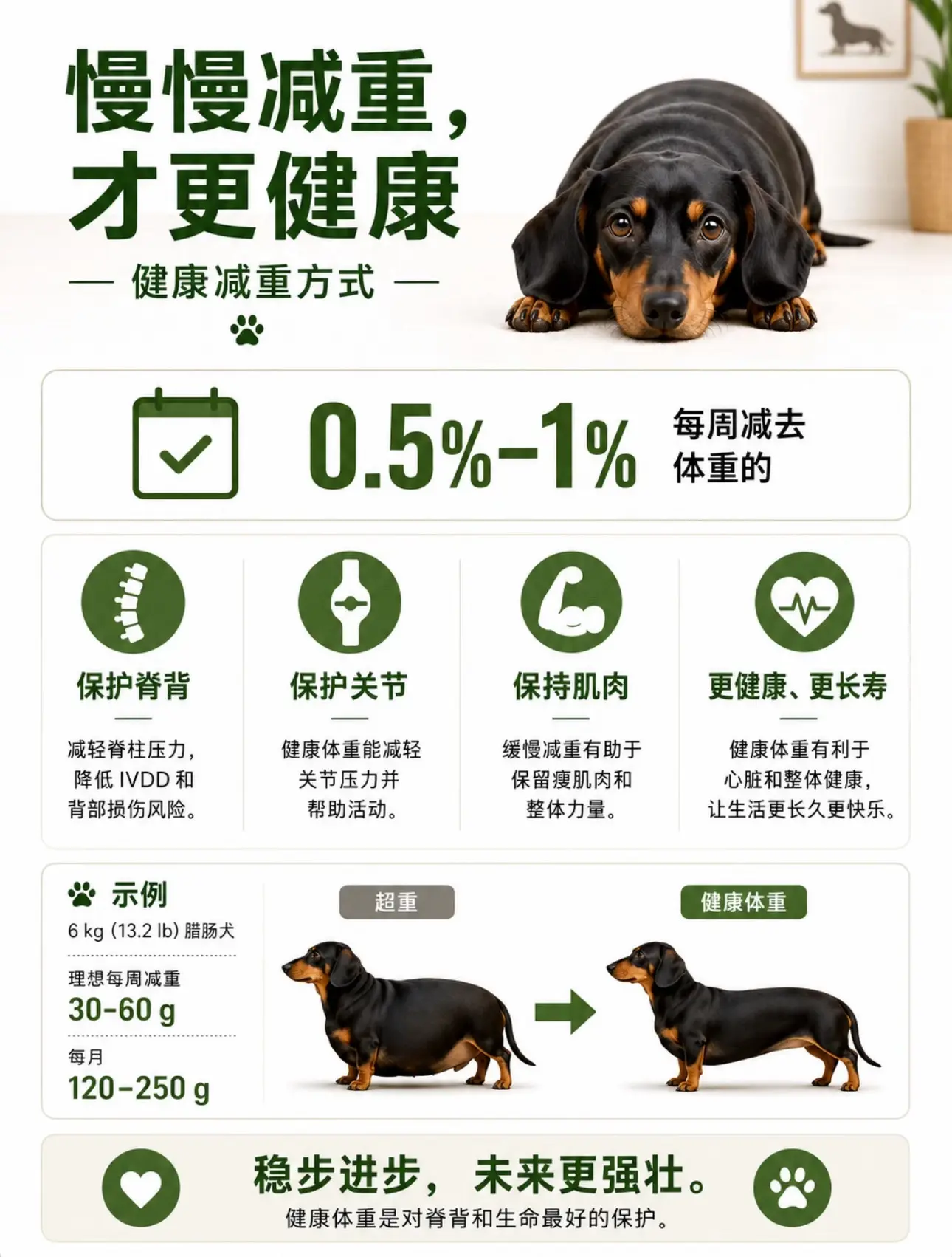 "保持腊肠的苗条身材，是你最需要关注的事。保持小腊肠的苗条，是你能为它...