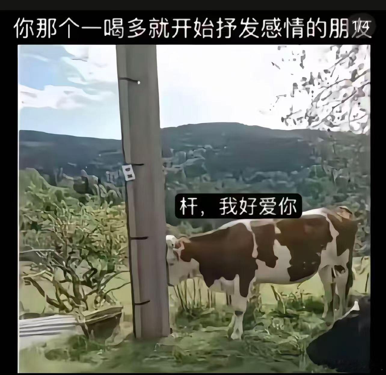 喝醉之后的四象星座 ↓风象：疯子啥样TA就啥样。土象：一个晕乎乎的哑巴。水象：一