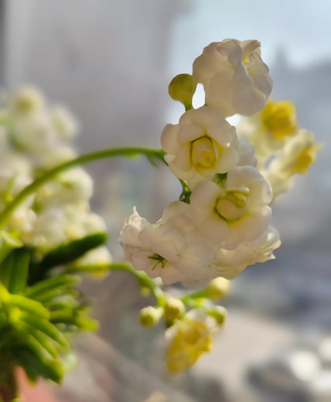 带着些许猎奇和对一直以来对于情感哲学的深思，我问了Deepseek这样一个问题：