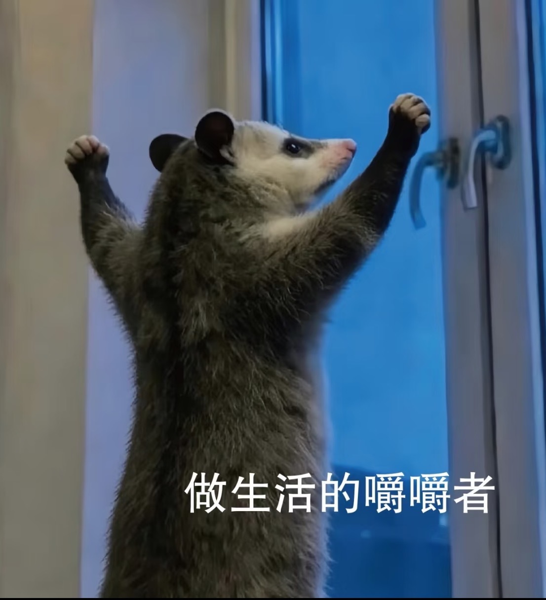 芥么多出击这局看上头 谁的夏天，跟我一样是守着KPL直播度过的？一波团战看得手心