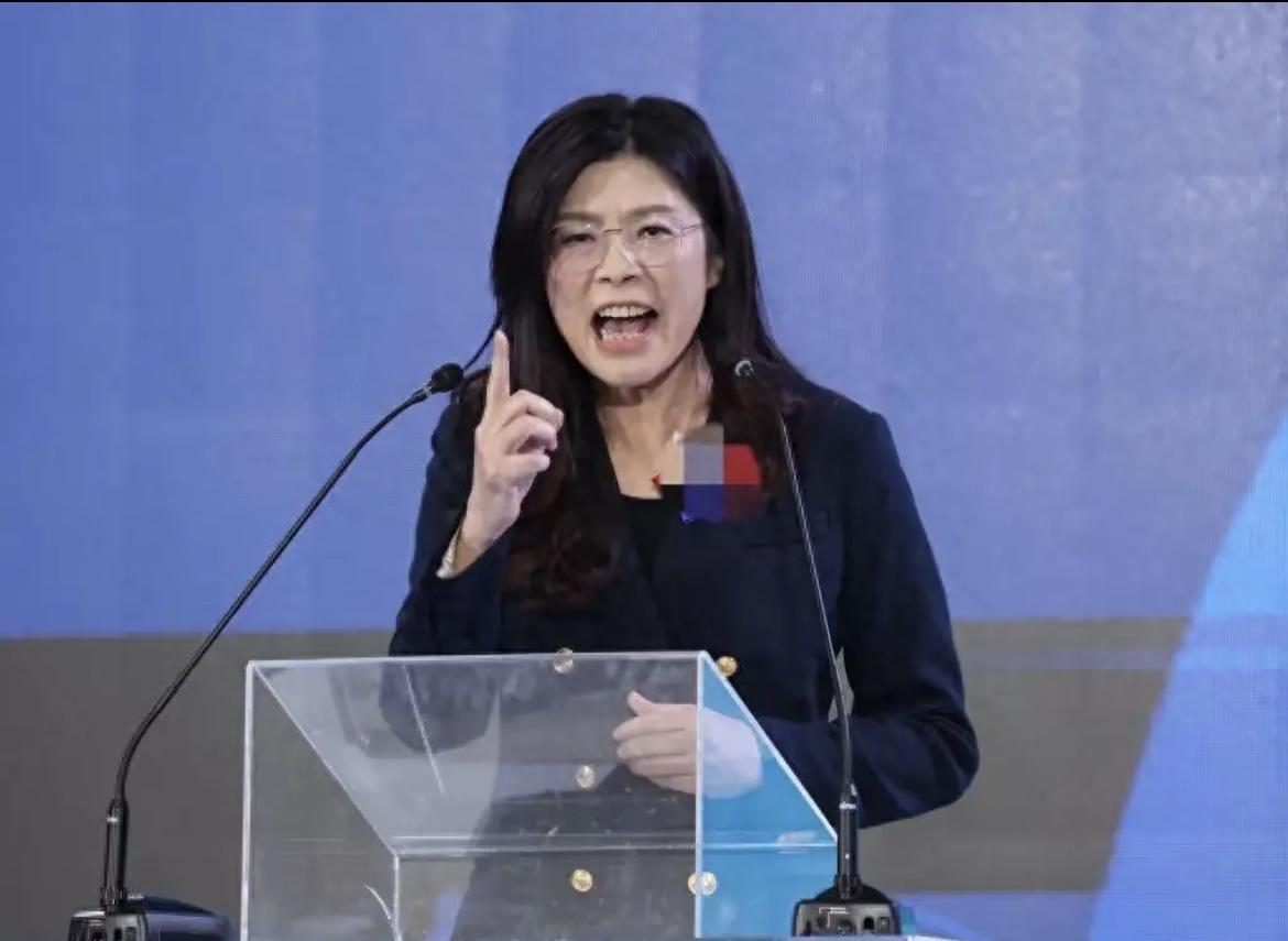 郑丽文刚上任，统一的倒计时就已经按下了快进键——不是大陆急，是台湾快被掏空了！民