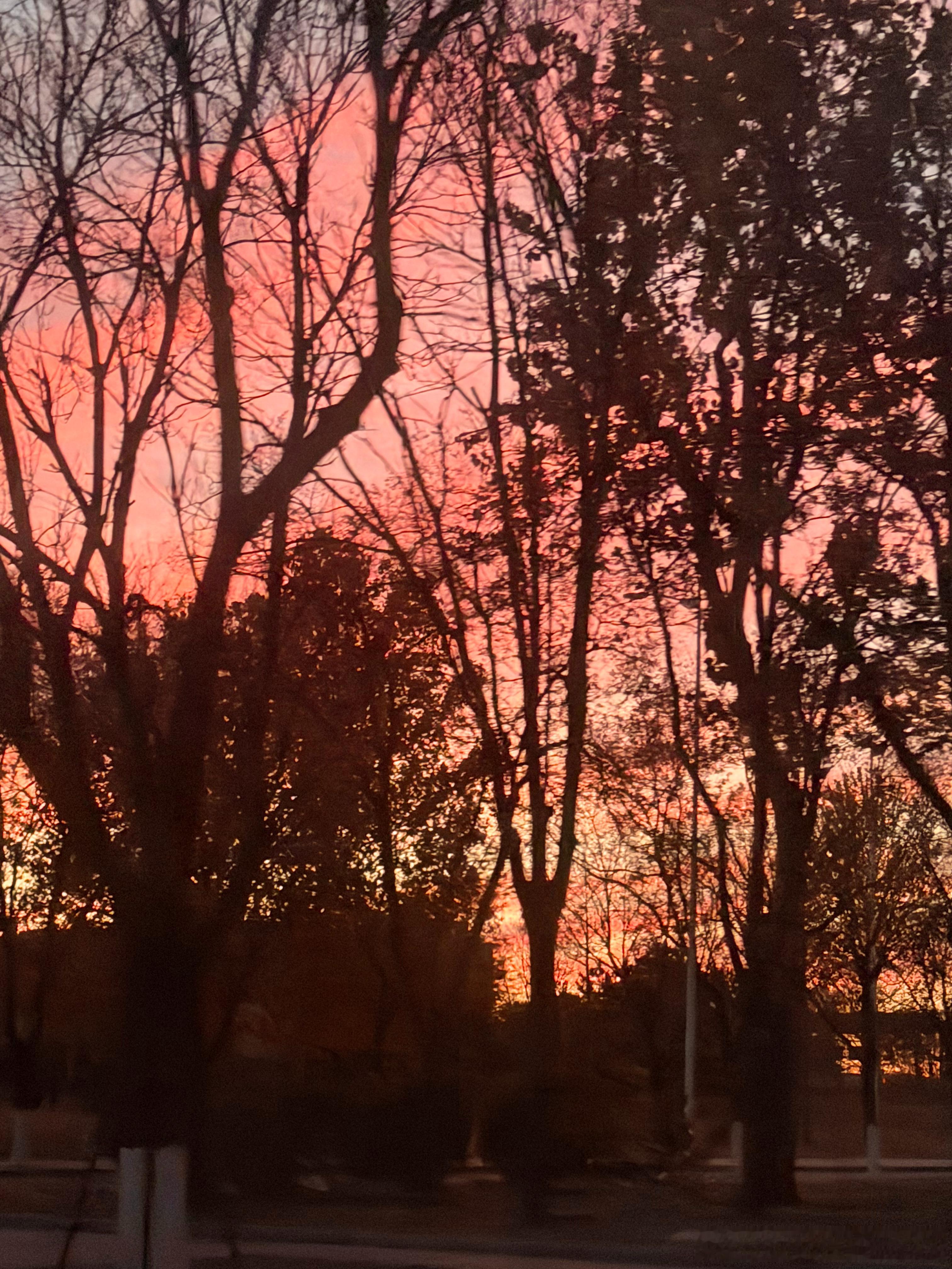 早上好，广州见 