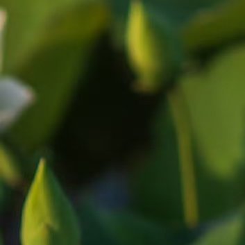 每日一善[超话][哆啦A梦微笑]‎每日一善 [哆啦A梦微笑]‎阳光‎信用 有翅膀