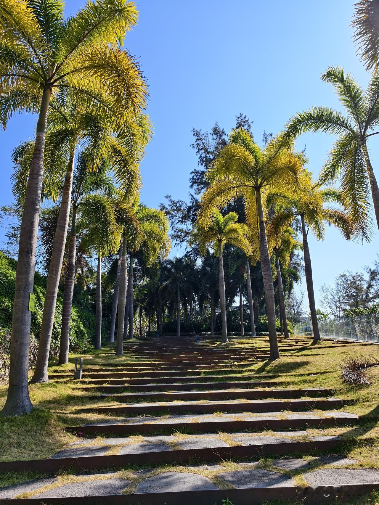 如何快速提高情商

1. 嘴巴是福气，舌头是刀子
记住了，永远别在背后说人坏话。