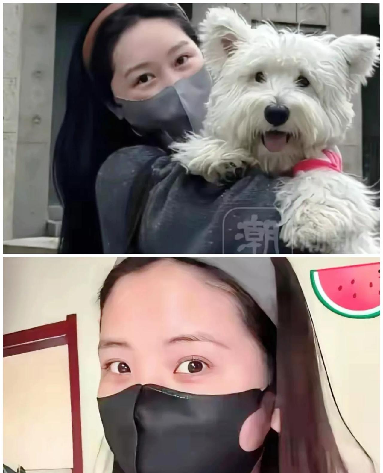 李女士沉默了，
就连小区业主都快无语了，
真的是下楼取个快递，差点被窜出来的泰迪