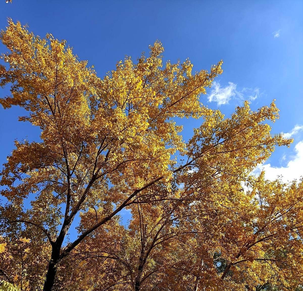 说起来这吊唁方式的转变，真是让人摸不着头脑。以前啊，谁家有个红白喜事，都得请上亲