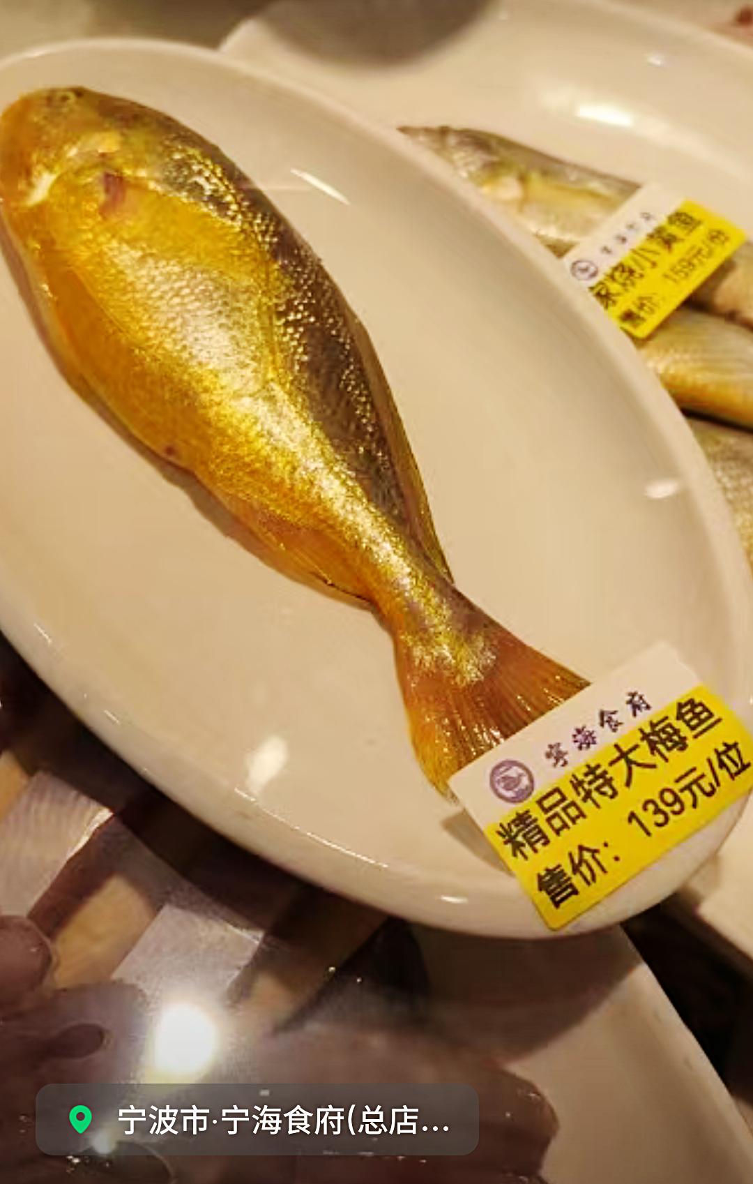 大梅童鱼139元/条，按120克这条，大约580元/斤，宁波，休渔期算OK啦！