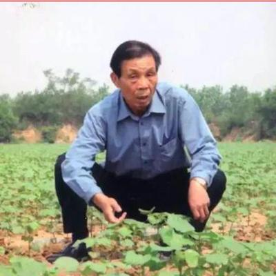 1991年，王伯祥从寿光卸任，前往潍坊担任副市长时，竟将院子里剩余的蜂窝煤和木柴