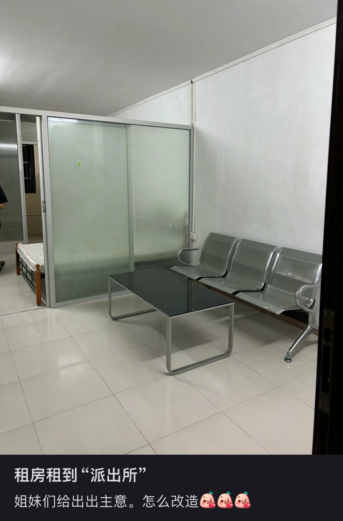 这不就是养猫人的梦中情房 ​​​