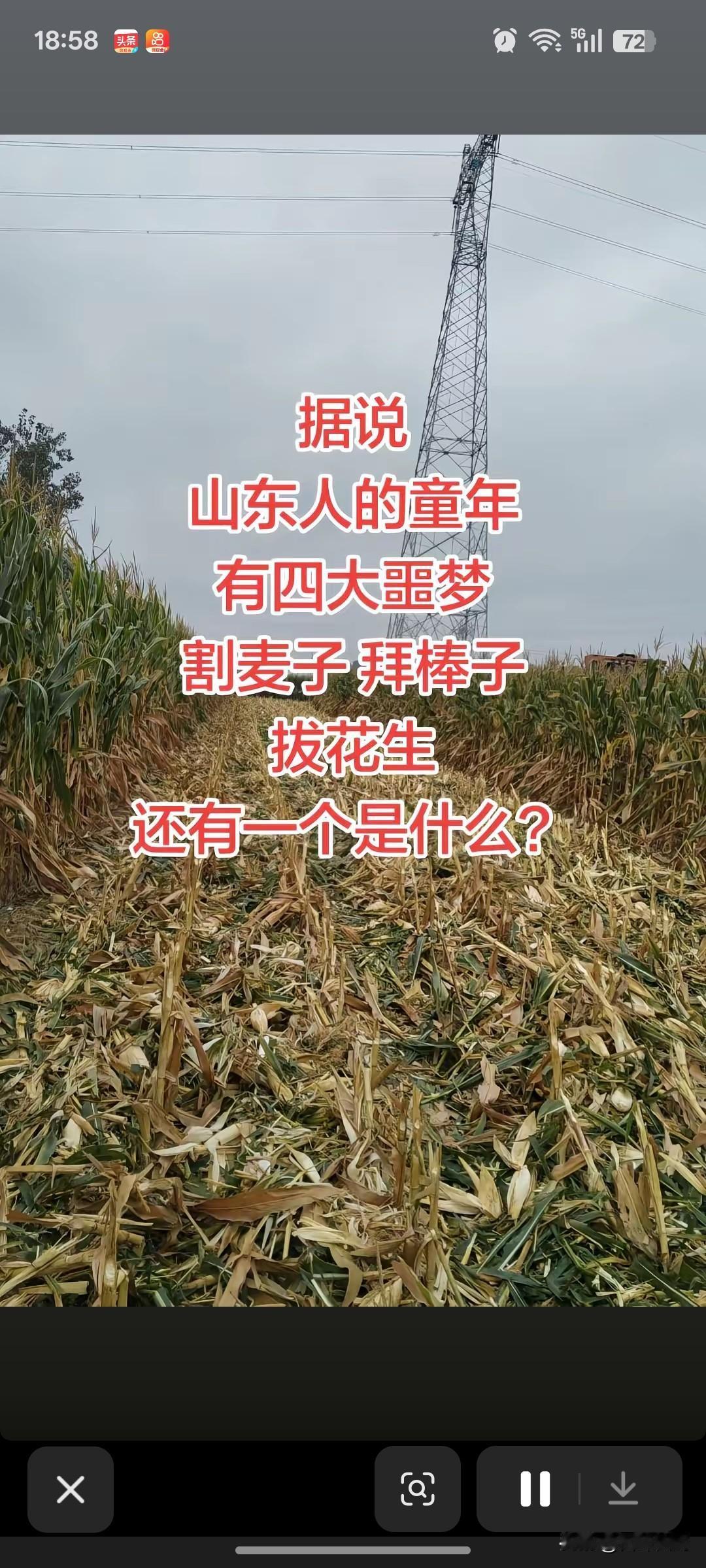 据说山东人的童年有四大噩梦，割麦子，掰棒子，拔花生，还有一个是什么？
真不是小瞧