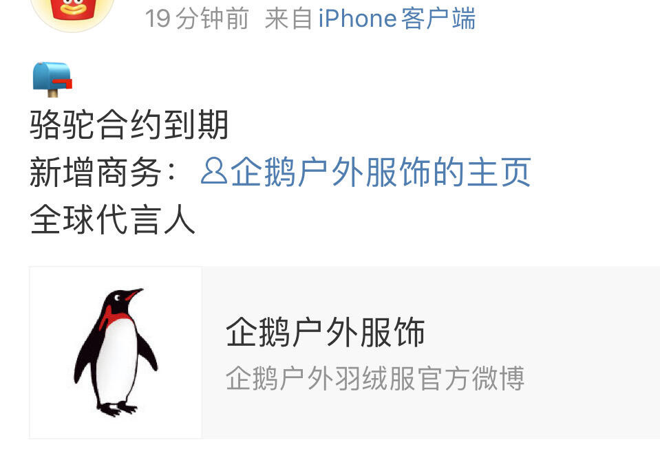 Angelababy新代言企鹅全球品牌代言人✨ ​​​