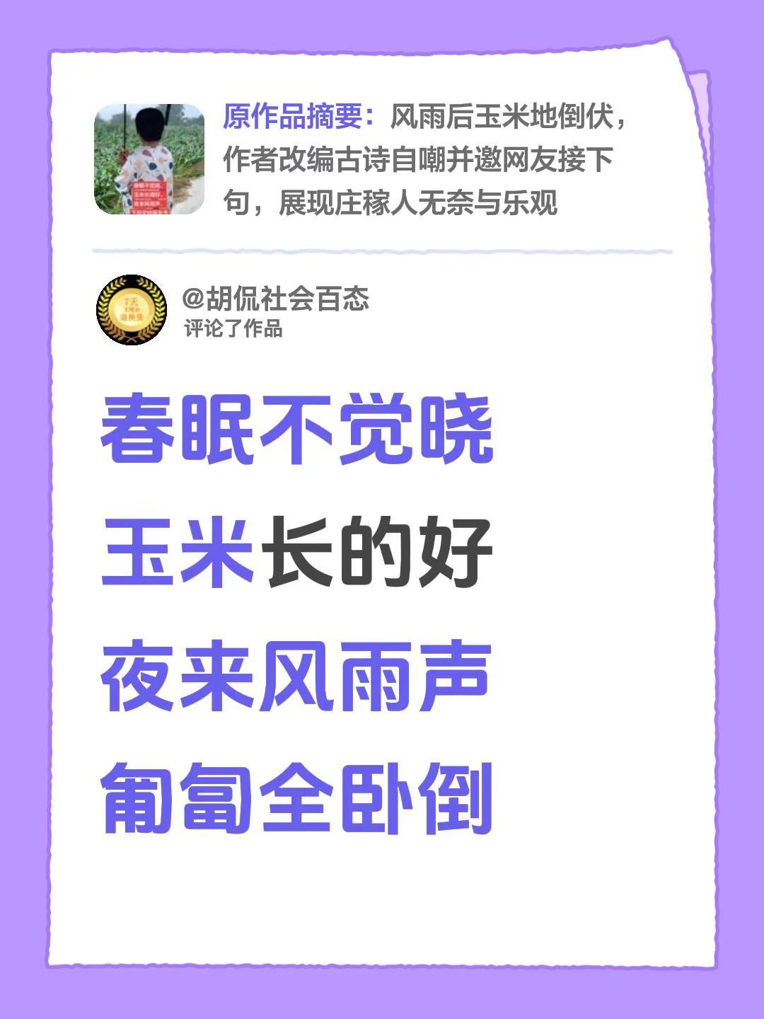 我评论了@倩影妞 的作品：春眠不觉晓玉米长的好夜来风雨声匍匐全卧倒
