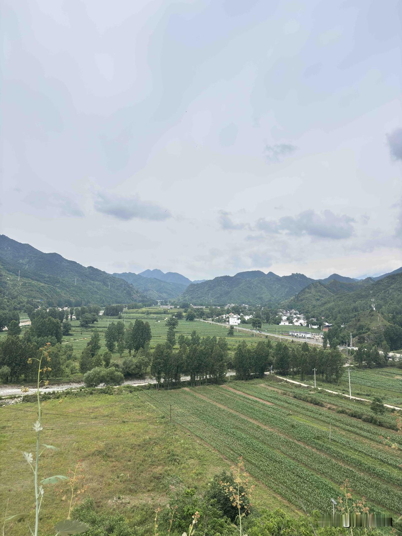 洛南县洛源镇五龙村，这个为啥叫五龙村呢？据说这里是村子山沟里有五道山岭、五条沟壑