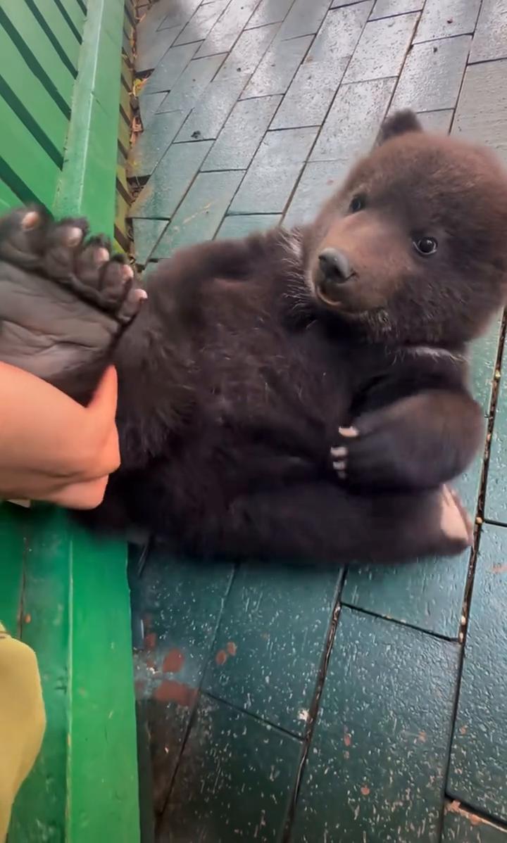 臭脚丫子给我闻一下臭不臭。