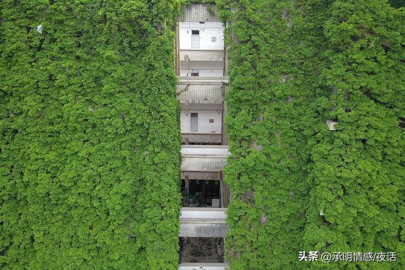 家人们，这话题我可有发言权啦！喜欢是乍见之欢，适合是久处不厌。没喜欢，热情难以为