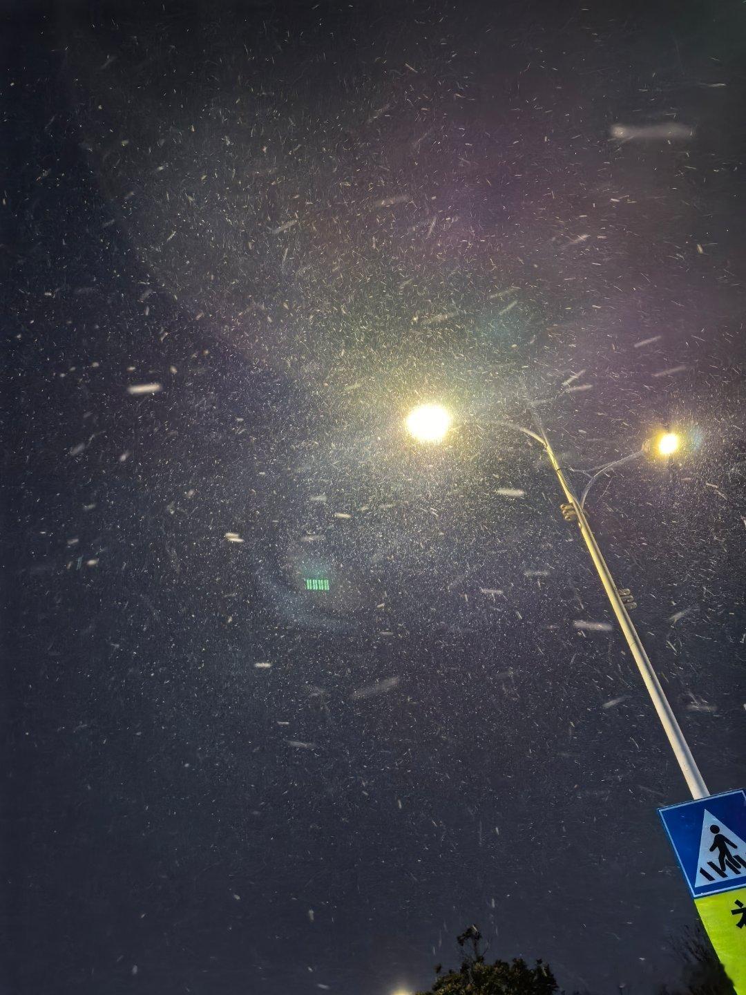 哇这雪还挺大的嘞 