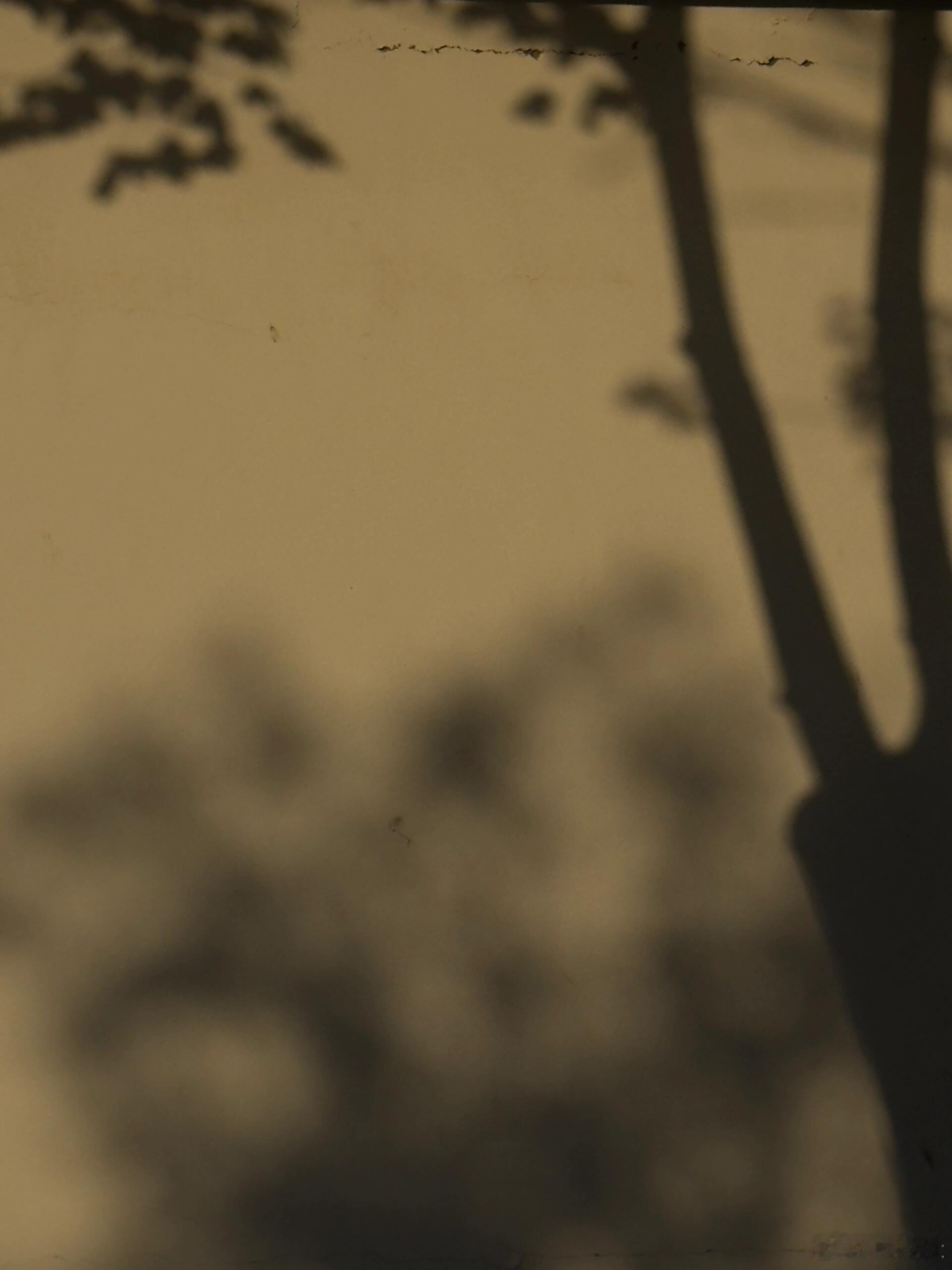 如果世上真有奇迹，那一定是：有人愿意俯下身，读懂你褶皱里的心事，然后轻轻把它熨平