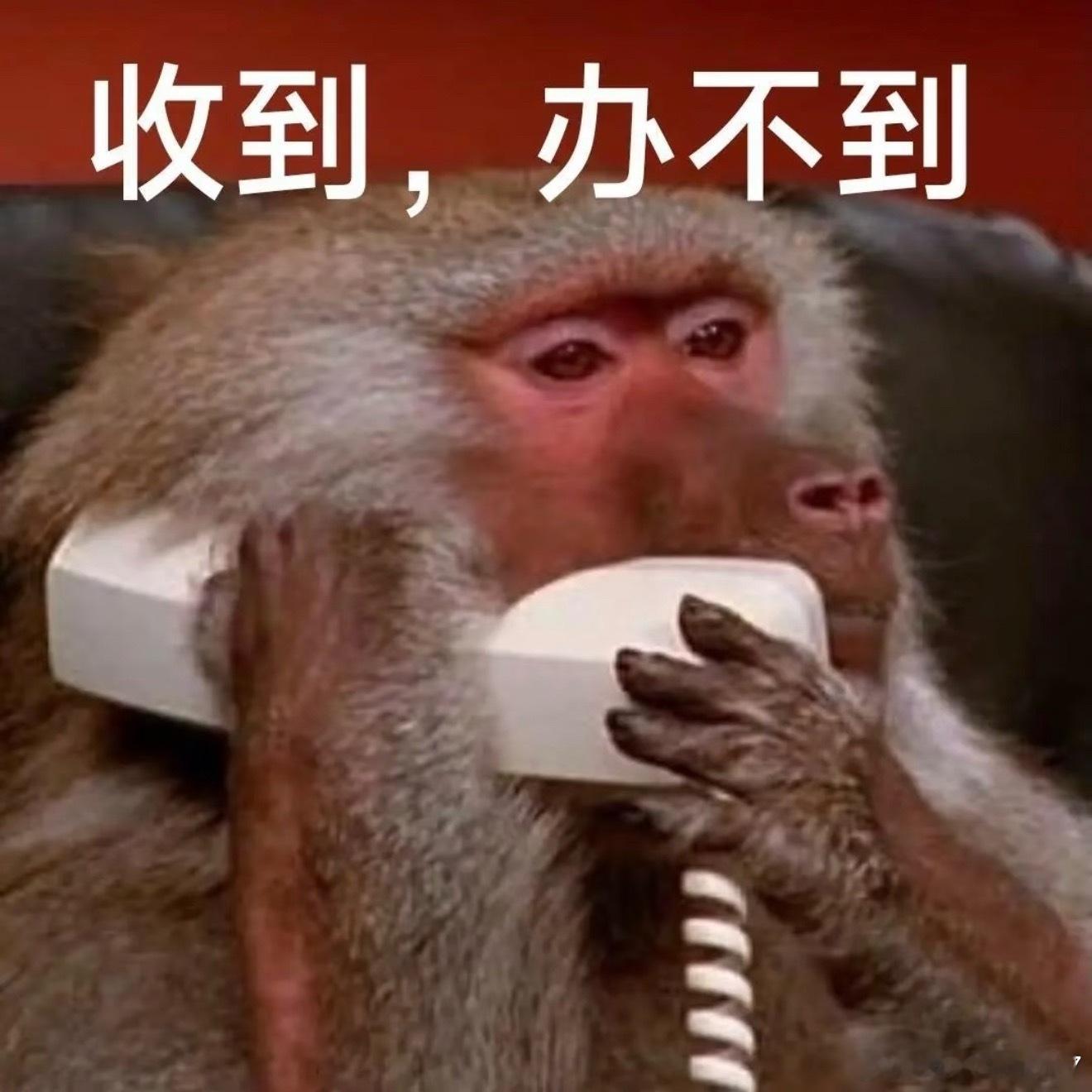 这事儿就算有的公司搞试点，也很容易变味。假给你放了，该干的活一点不少，最后只能牺