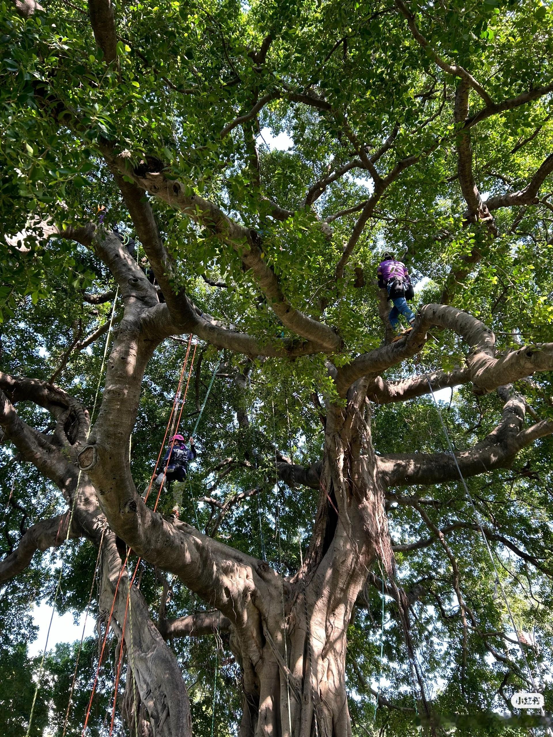 《明川有知夏》路透拍摄现场🈶开玩笑的，都是我从路透的机位脑补的！真的是很拼了各
