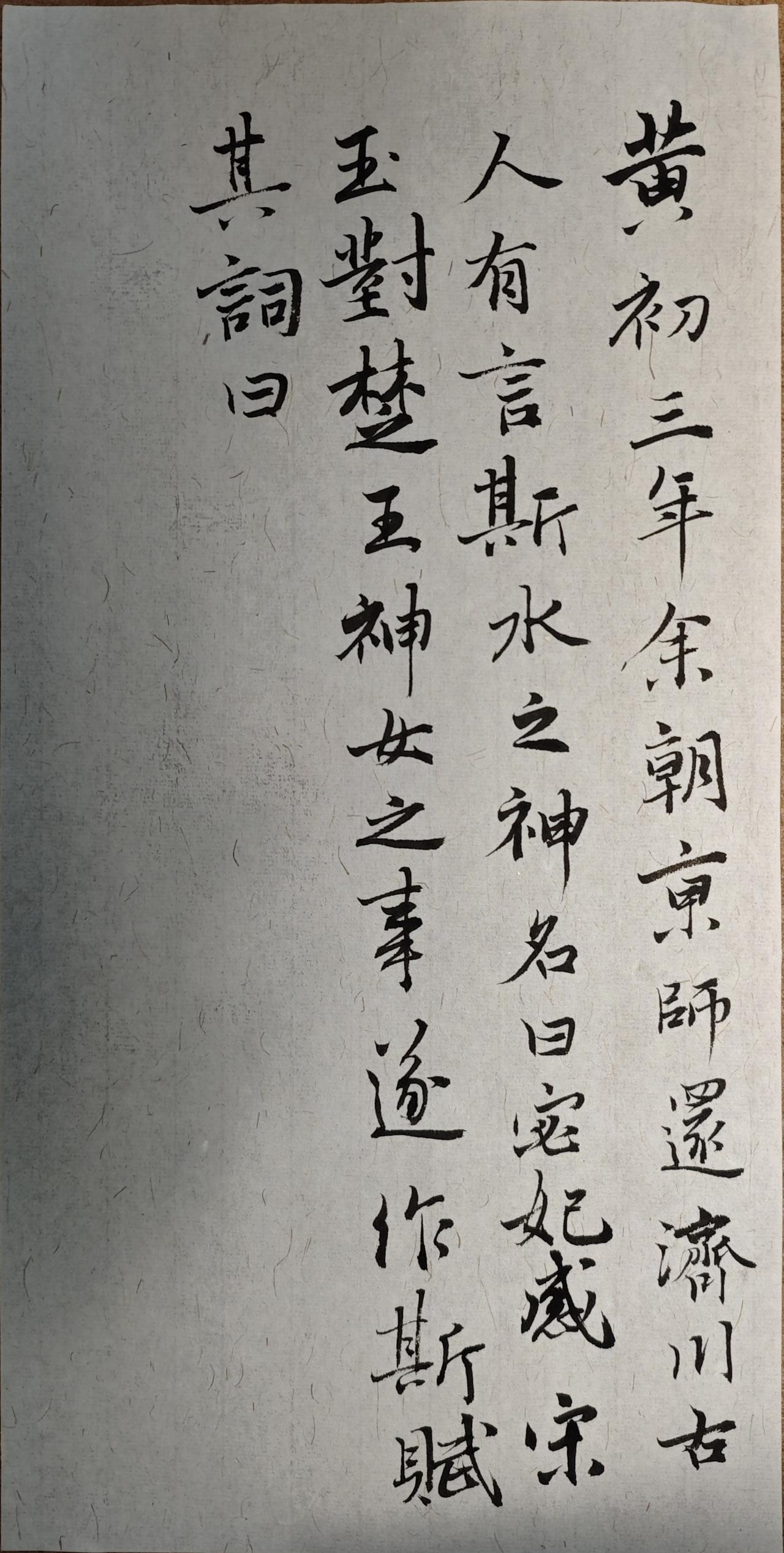 麻雀也有春天
写字是一种生活 
每天练字 
每天坚持练字