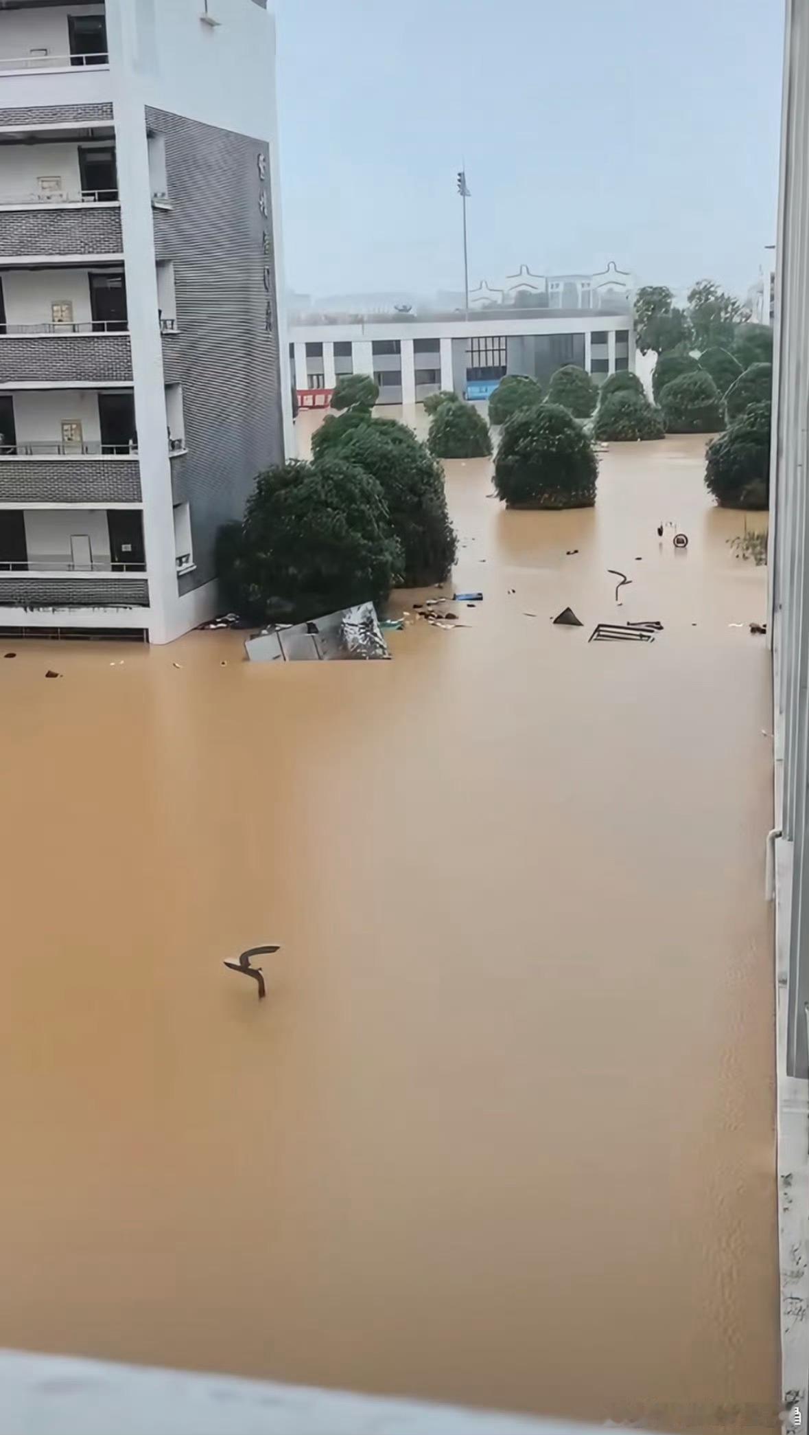 受今年第10号台风“美莎克”影响，广西贵港市遭遇暴雨到大暴雨、局地特大暴雨，多条
