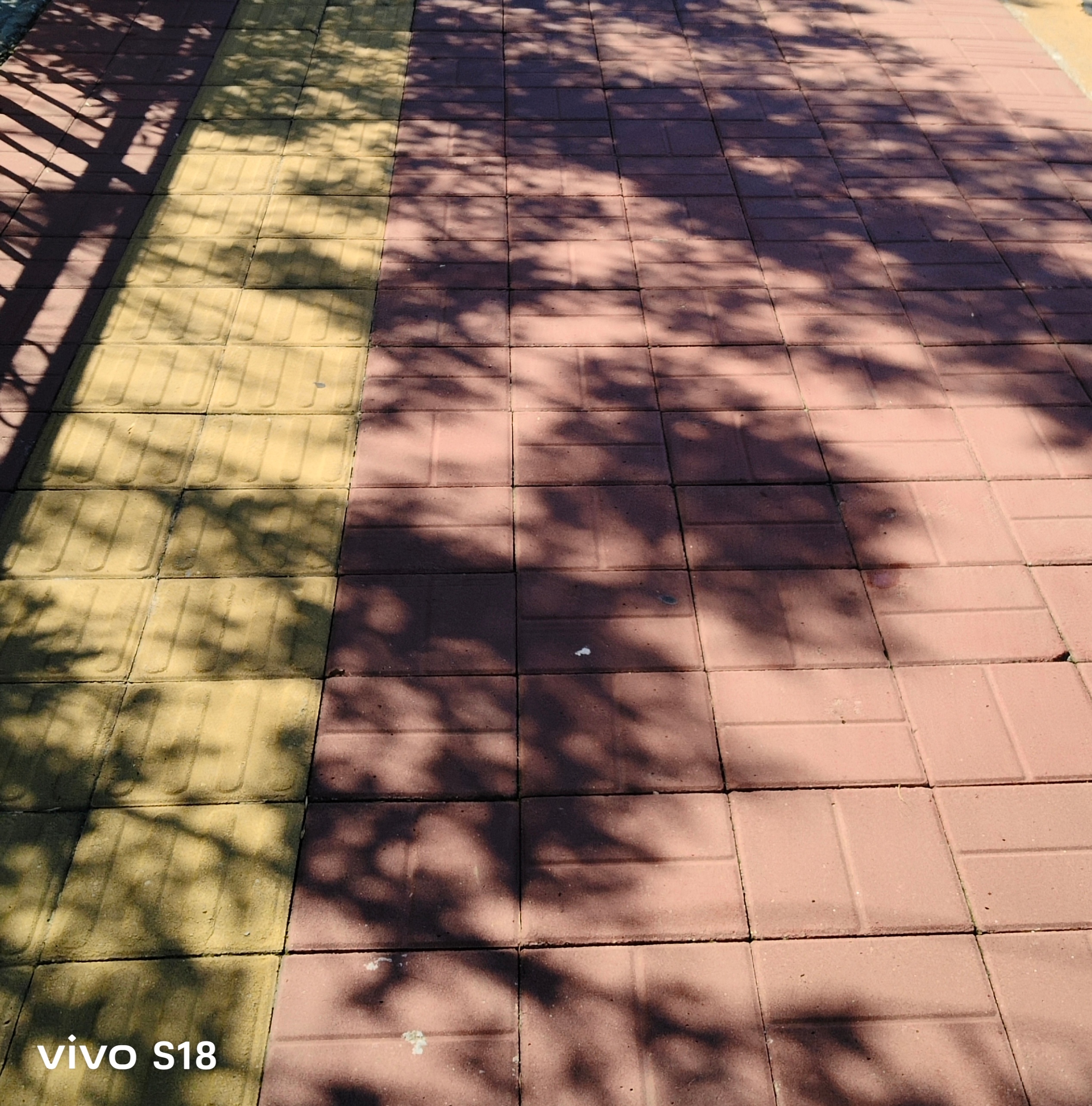 昨天那么冷，今天晒的睁不开眼，夏天的回光返照么[开摆] ​​​