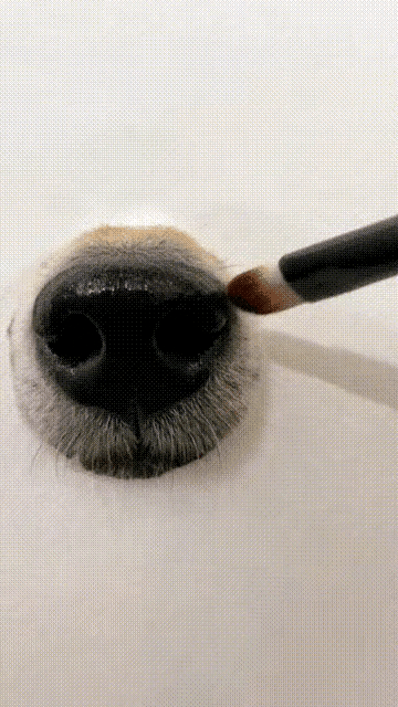 这画真是栩栩如生