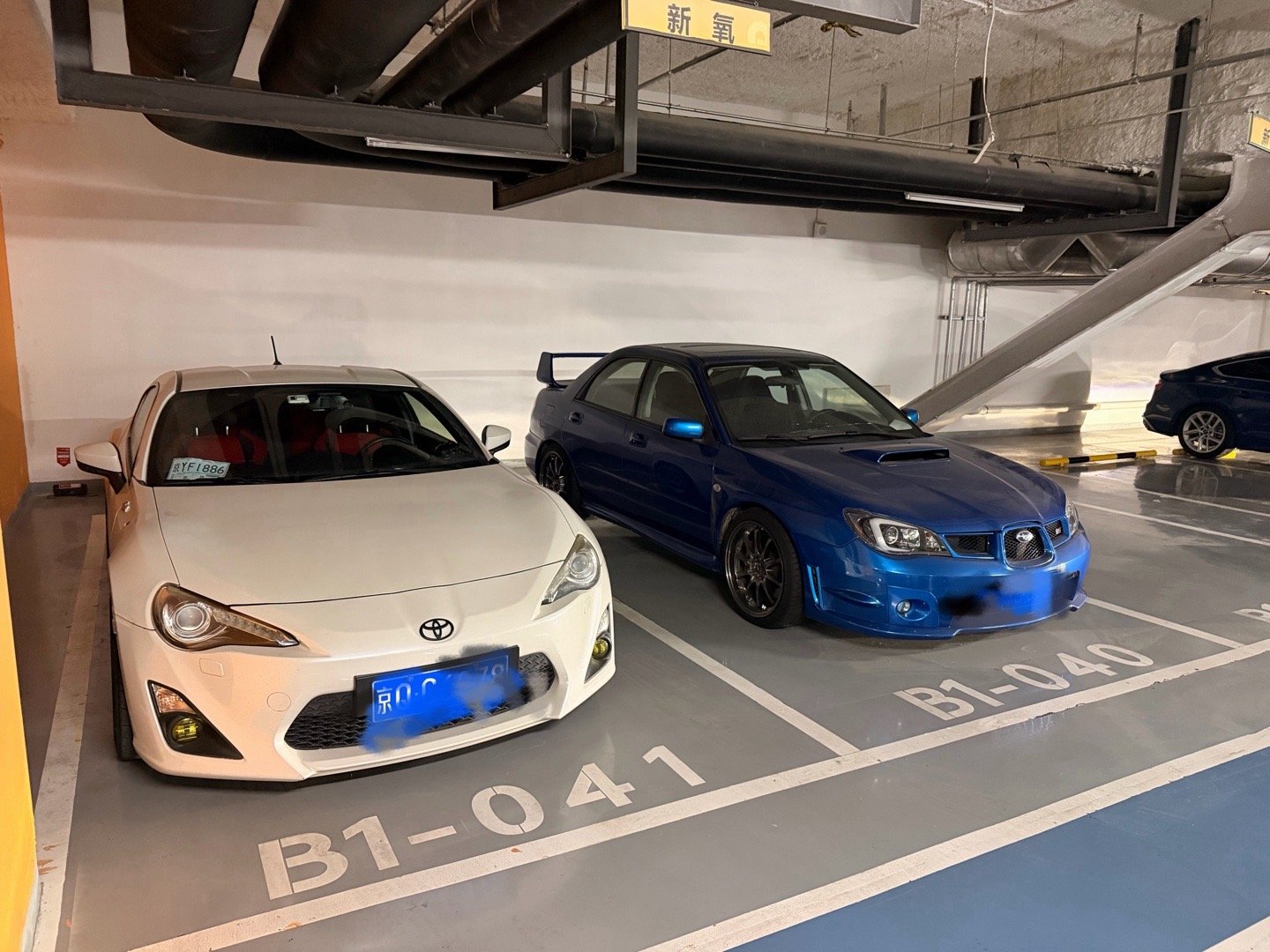 难得开86出门一次还碰见了野生翼豹 