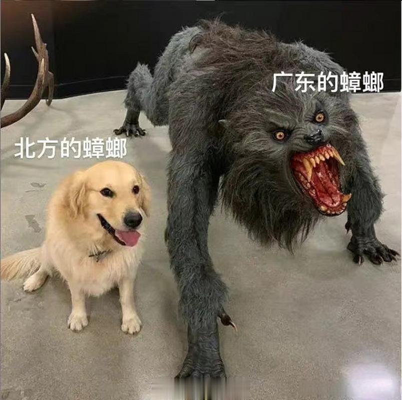 #meme##me_irl# ​​​