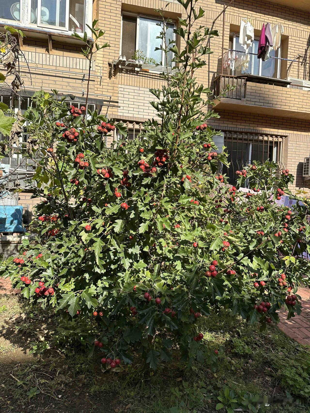 你作为单位中层，有没有踩过这个坑？单位关键岗位上，蹲着一个能力不行、人品还次的人