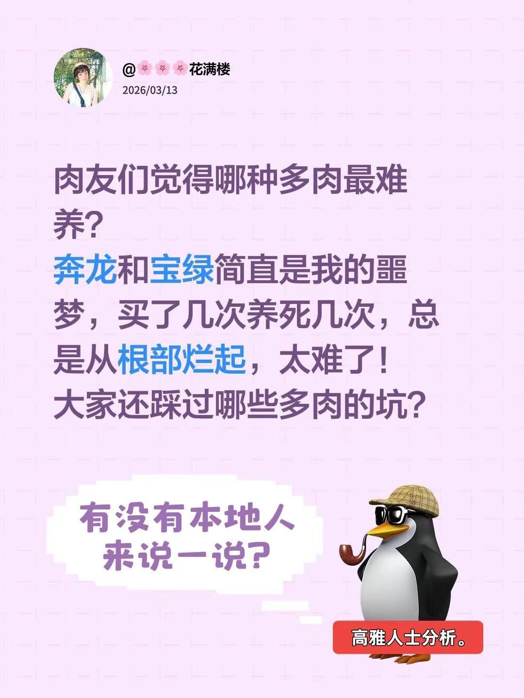 肉友们觉得哪种多肉最难养？奔龙和宝绿简直是我的噩梦，买了几次养死几次，总是从根部
