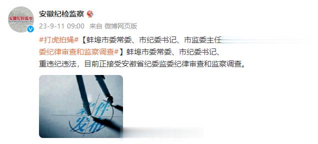 #打虎拍蝇#【蚌埠市委常委、市纪委书记、市监委主任#项跃文接受安徽省纪委监委纪律