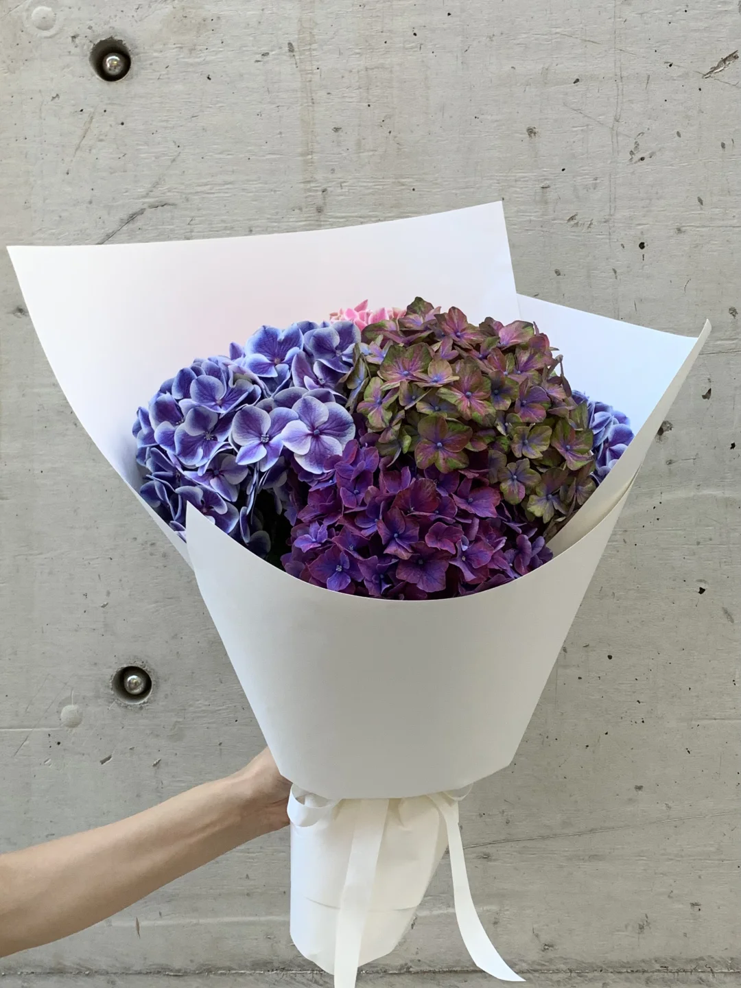 Purple💜