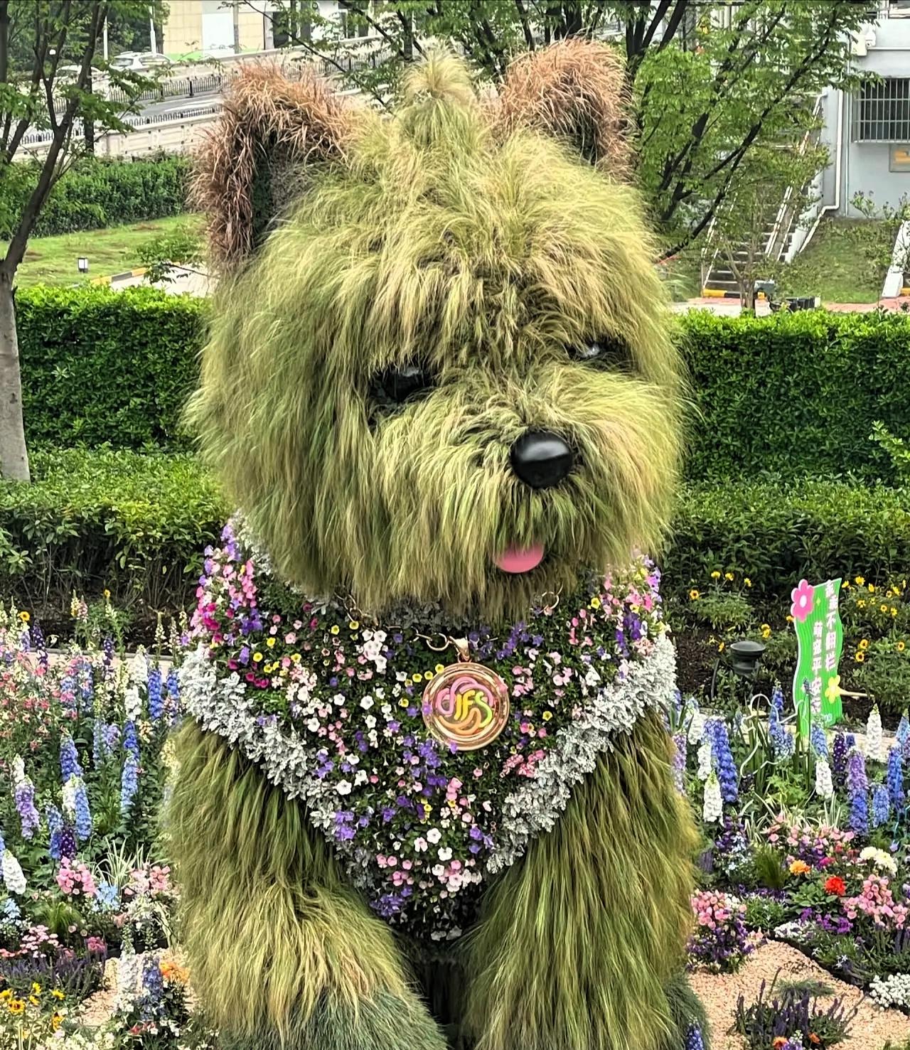 太惨了！本来5月10号就要光荣退休的顶流“潦草狗”因为太火，直接被官方硬生生延迟