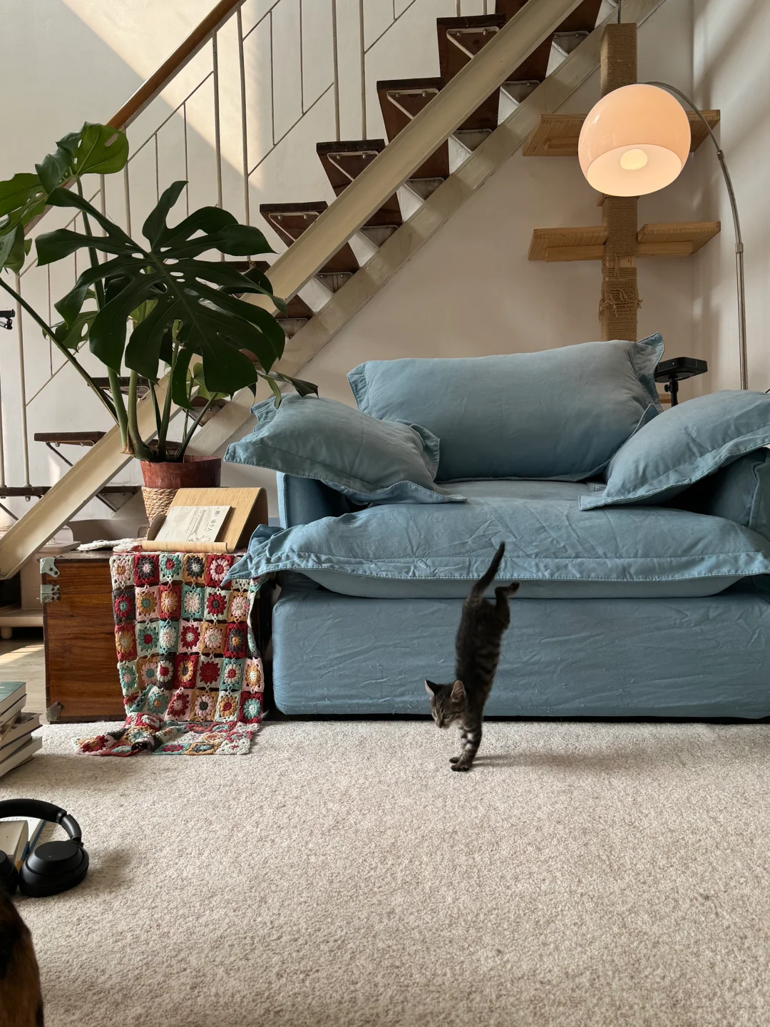 秋天正式载入我家🍂