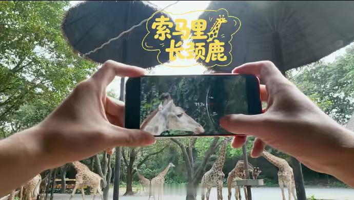 华为Pura90ProMax搭载2亿像素长焦 刚刷完华为Pura 90系列的长焦