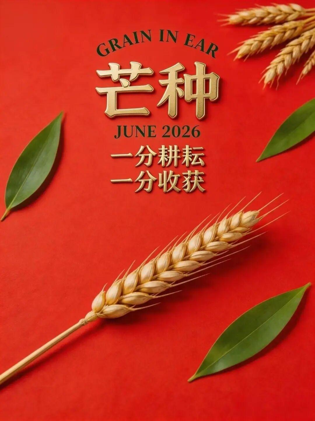 早上好！🌞 新的一天，恰逢芒种，忙收忙种，岁月耕耘皆有期。晨起迎着清风，褪去慵