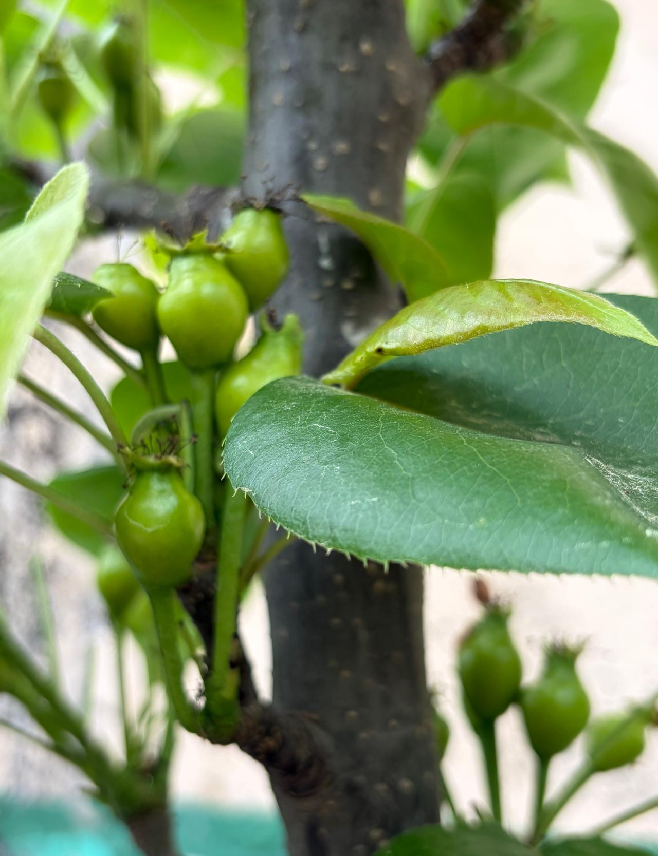 同学两口子的遭遇，真让我既心疼又感慨！

她老公05年腿上就长了一片红斑，当地医