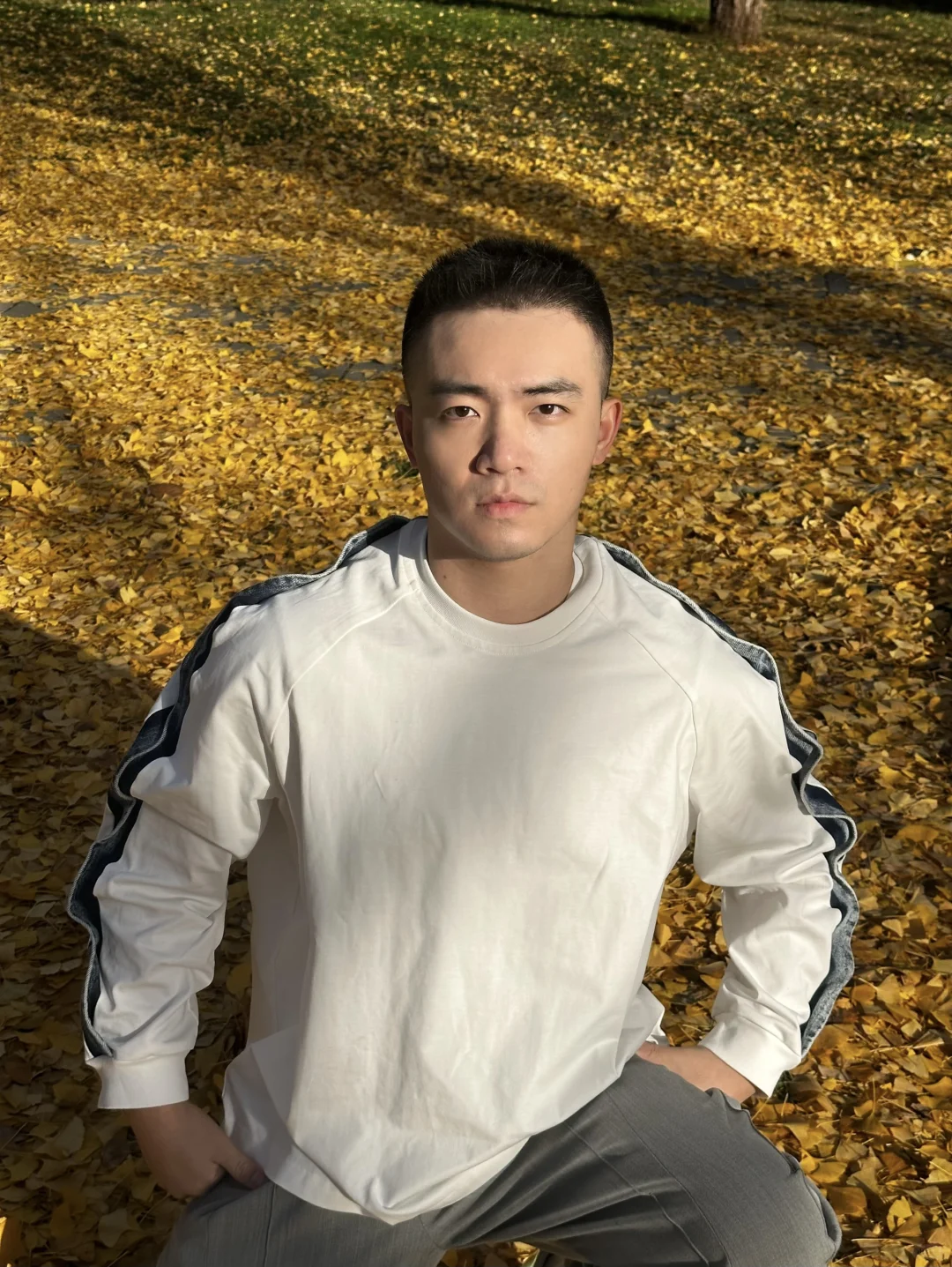 观1400年前李世民哥哥为我种的银杏