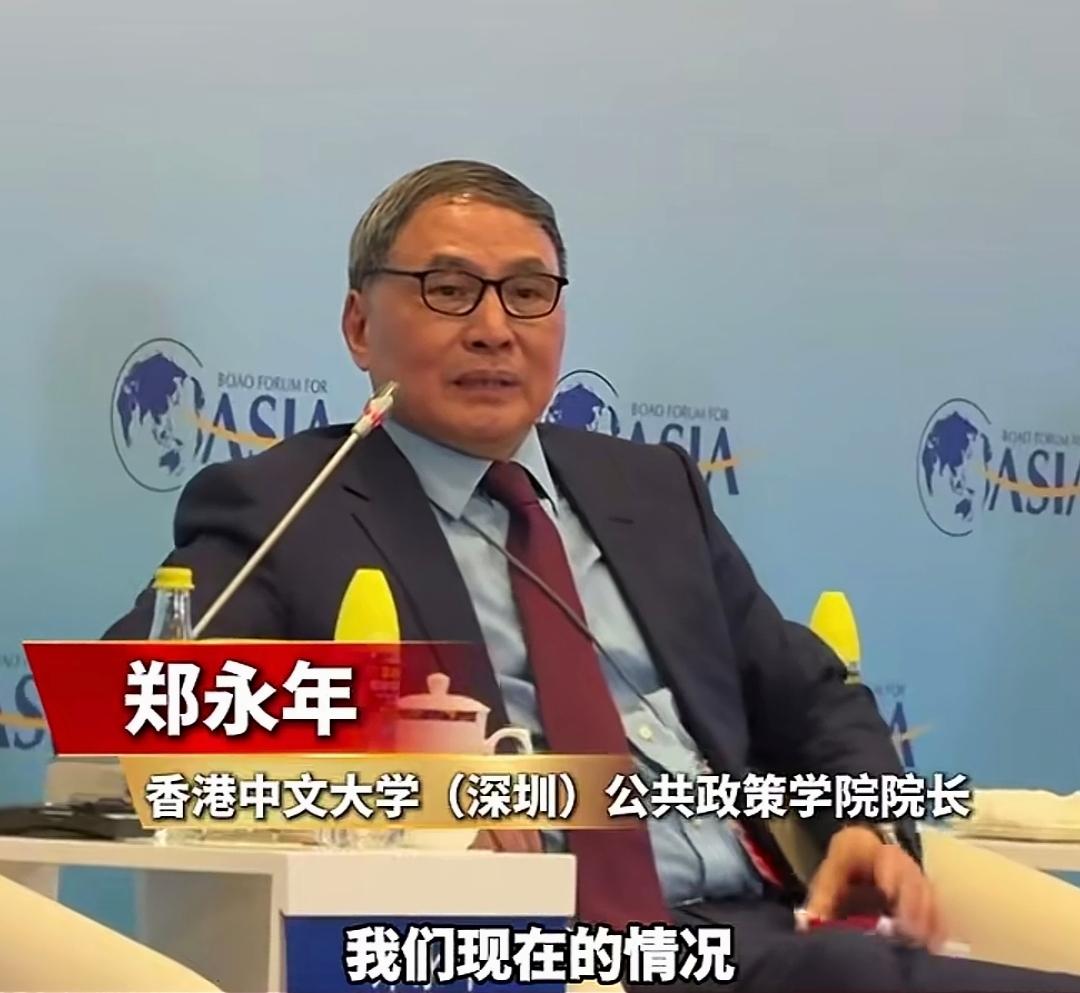 海南博鳌论坛上，香港中文大学公共政策学院院长“郑永年”一句直白的话，戳中了当下无