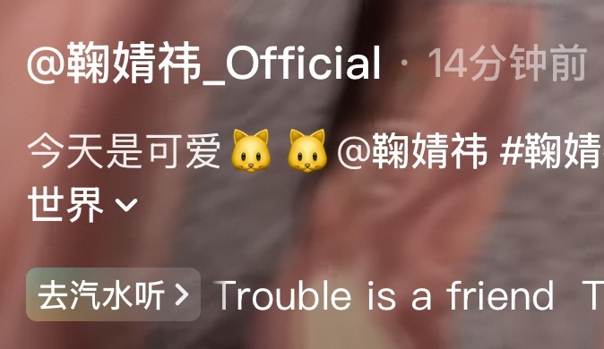鞠婧祎苏绿夏 奥菲斯的意思是平时是可爱🐷🐷就今天假装🐱一下 