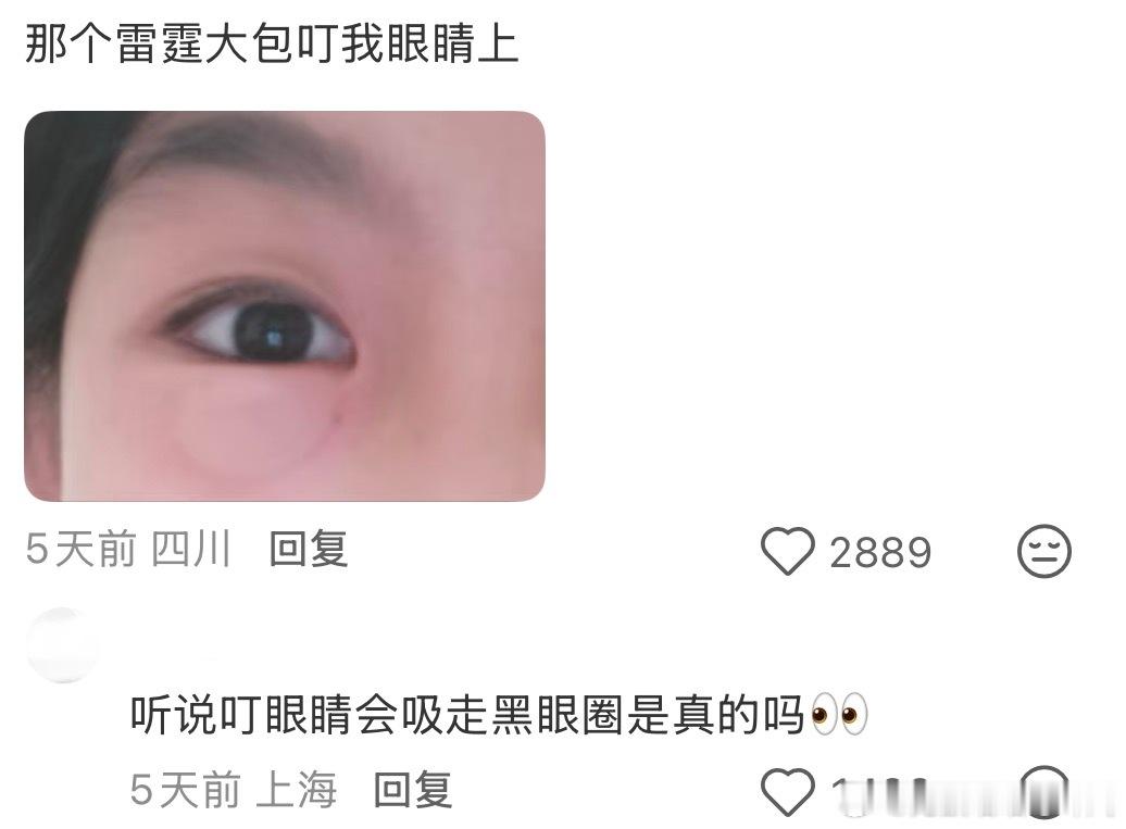 连蚊子都会拔罐了 