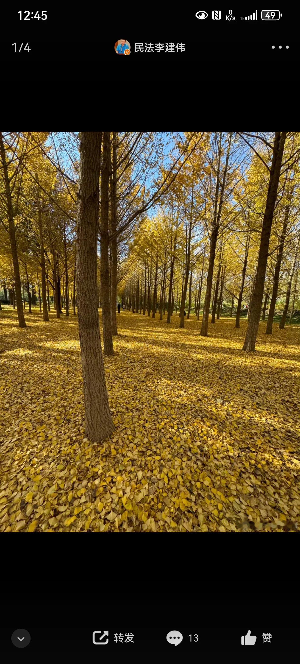 秋日暖阳，落叶铺就的童话世界🍂🍁，快去享受这大自然的美好，心醉了。