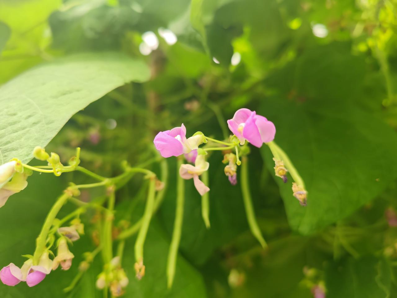 到如今，
能够觉醒的人，
都是有善根的底层百姓！
都是有贡献的劳动人民！
机缘具