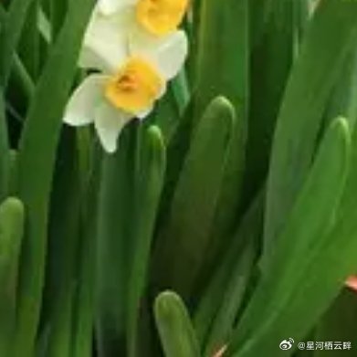 每日一善 懂得坚持的人总会有收获，不要因为一次失败就垂头丧气，失败应该让你越挫越