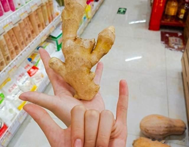 最好的宠物不是猫狗，是一块生姜：不吵不闹，陪你节节高升