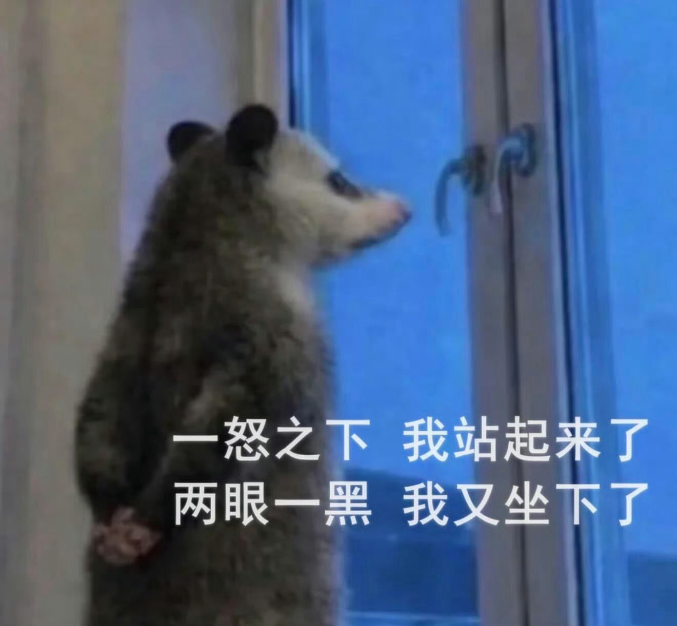 以往大促买正装送一堆小样也就忍忍，现在是一堆正装打包出售，脸有多大，得用到天荒地