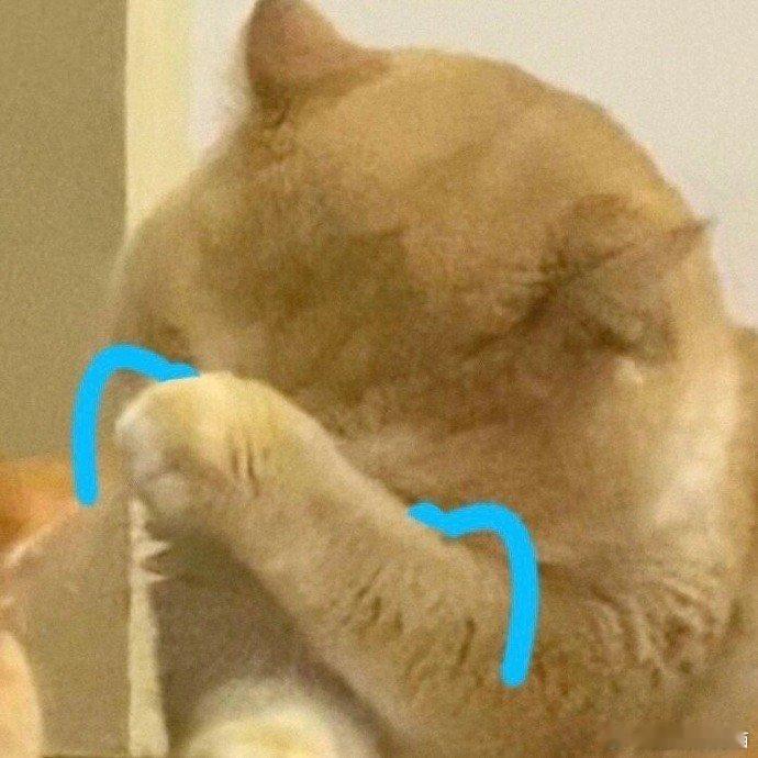 #女子拍证件照投诉商家P图太假#现在的商家在干活时也要考虑到顾客的意愿与需求，不